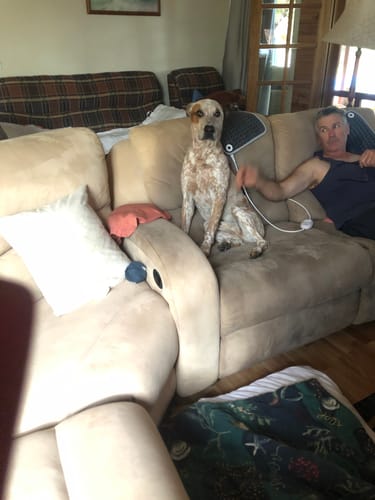 Customer photo review of Vitamin Pet