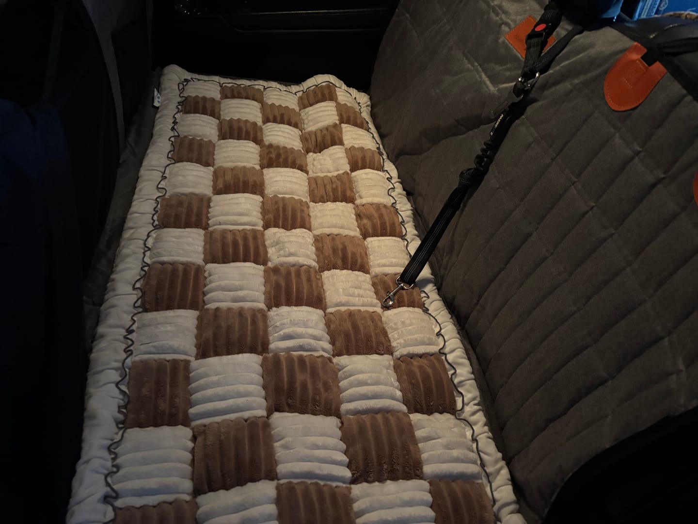 Customer photo review of Cozy Cushion™