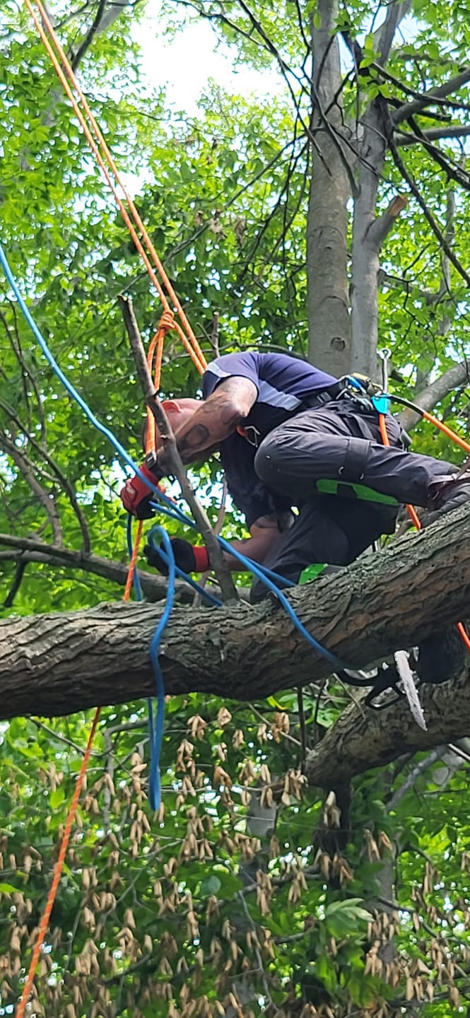 Customer photo review of ASPEN 11.7mm 32-Strand Kernmantle Climbing Rope 150' or 200' with Sewn or Spliced Eye (Limited Promotion)