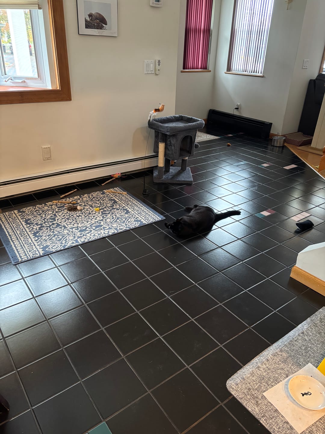Customer photo review of Interactive Bird Simulation Cat Toy Set | Leo's Paw