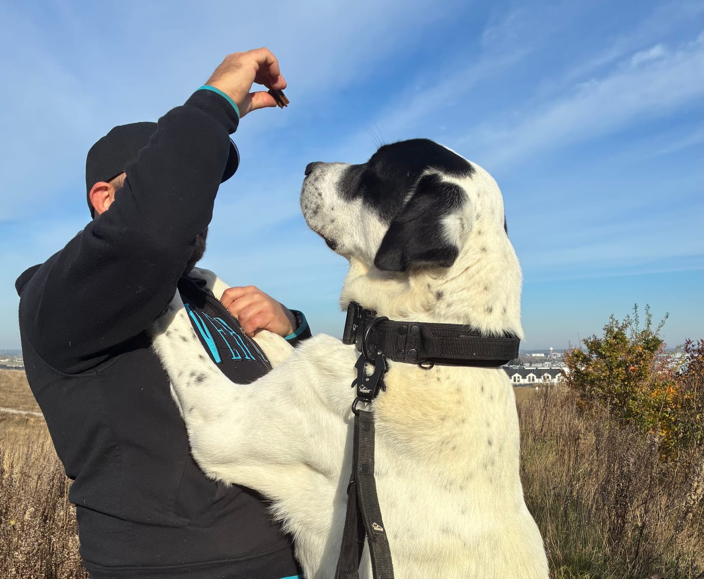Customer photo review of Smycz przepinana z dodatkową raczką - Multi Guard Leash Black Edition Czarna