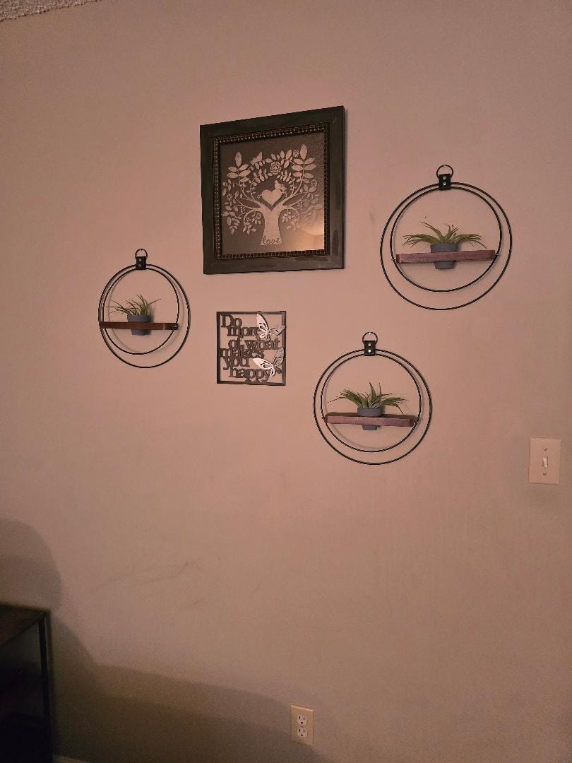 Customer photo review of Air Plant Shelf + Pot Trio