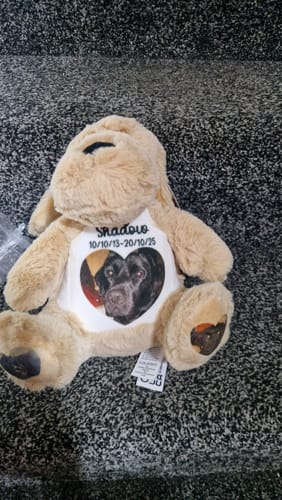 Customer photo review of A Cuddle from Heaven Personalised Photo Teddy Bear