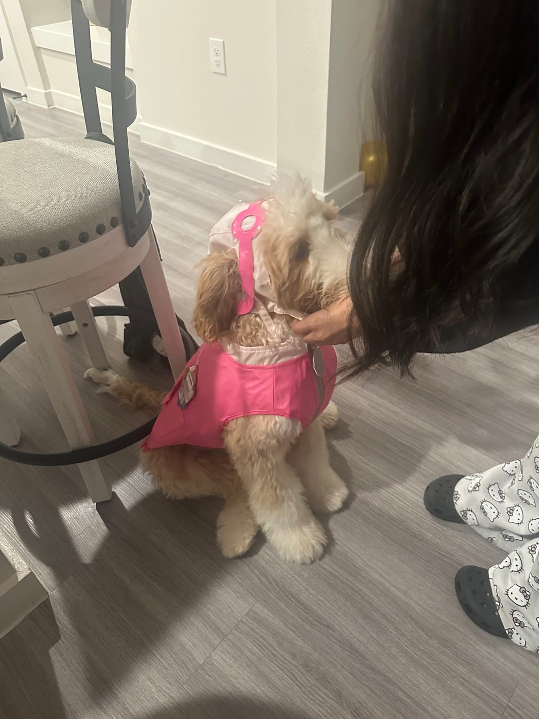 Customer photo review of Dog Costume (Skye)