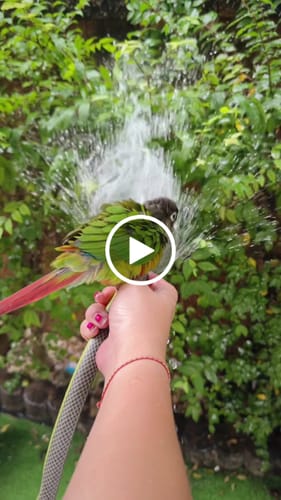 Customer video review of EONDATE CLASSIC WATCH CUSTOMIZE