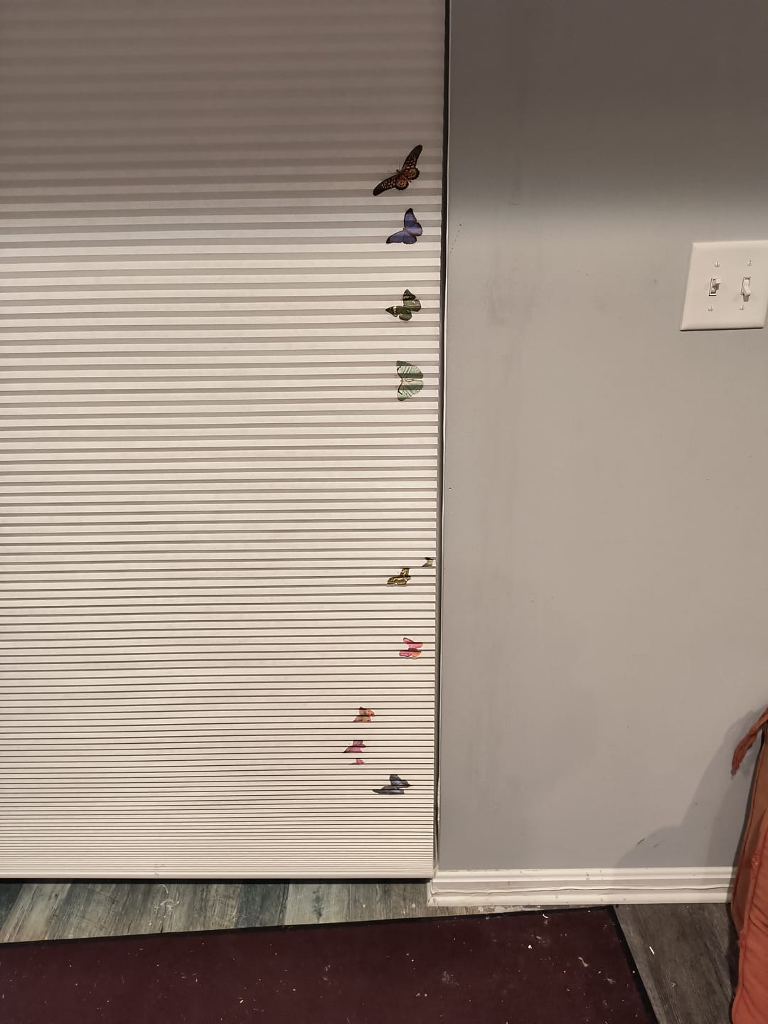 Customer photo review of SmartWings Motorized Light Filtering Cellular Shades Nowa
