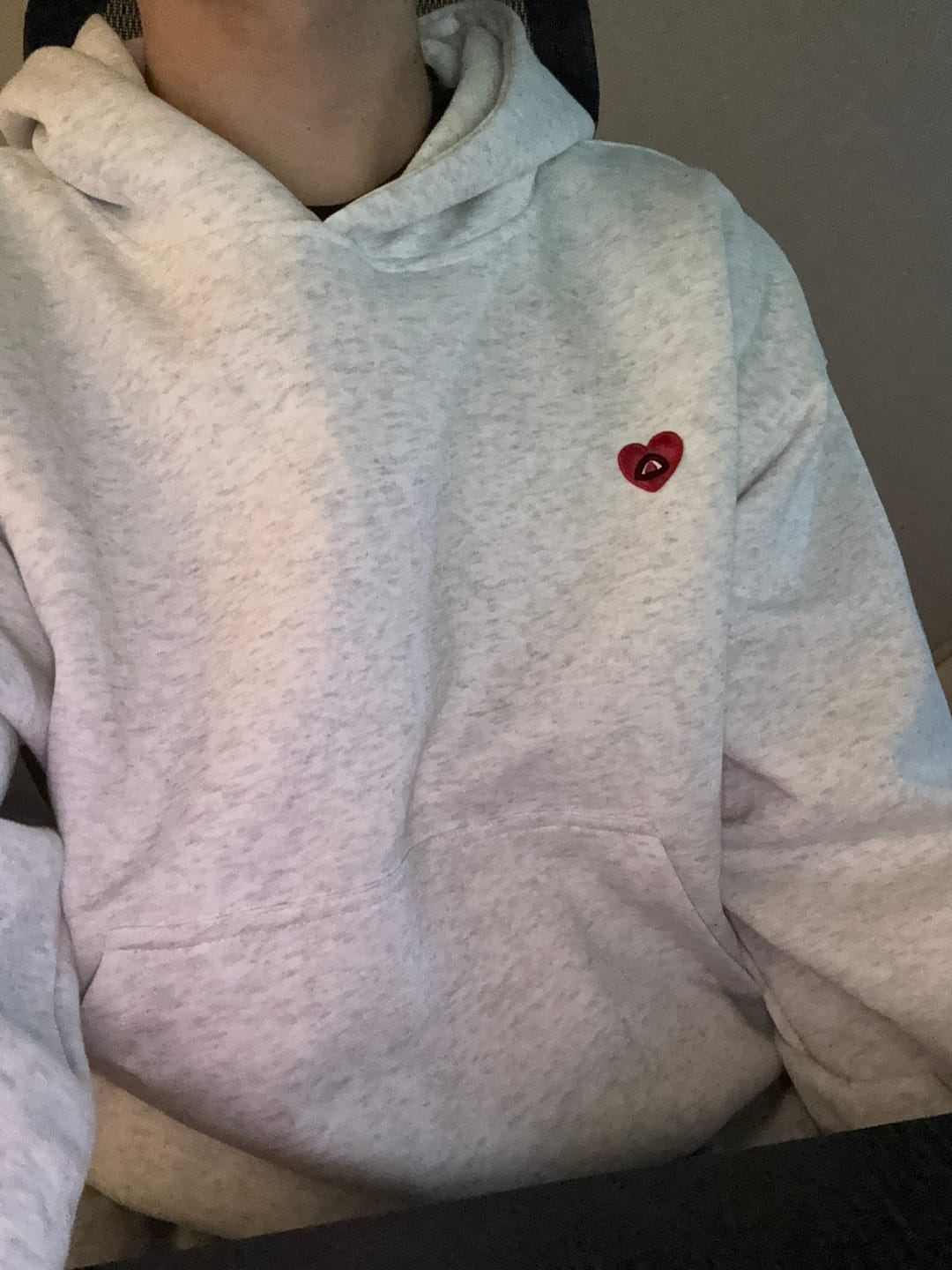 Customer photo review of Aelfric Eden Solid Pullover V302 Boxy Hoodie
