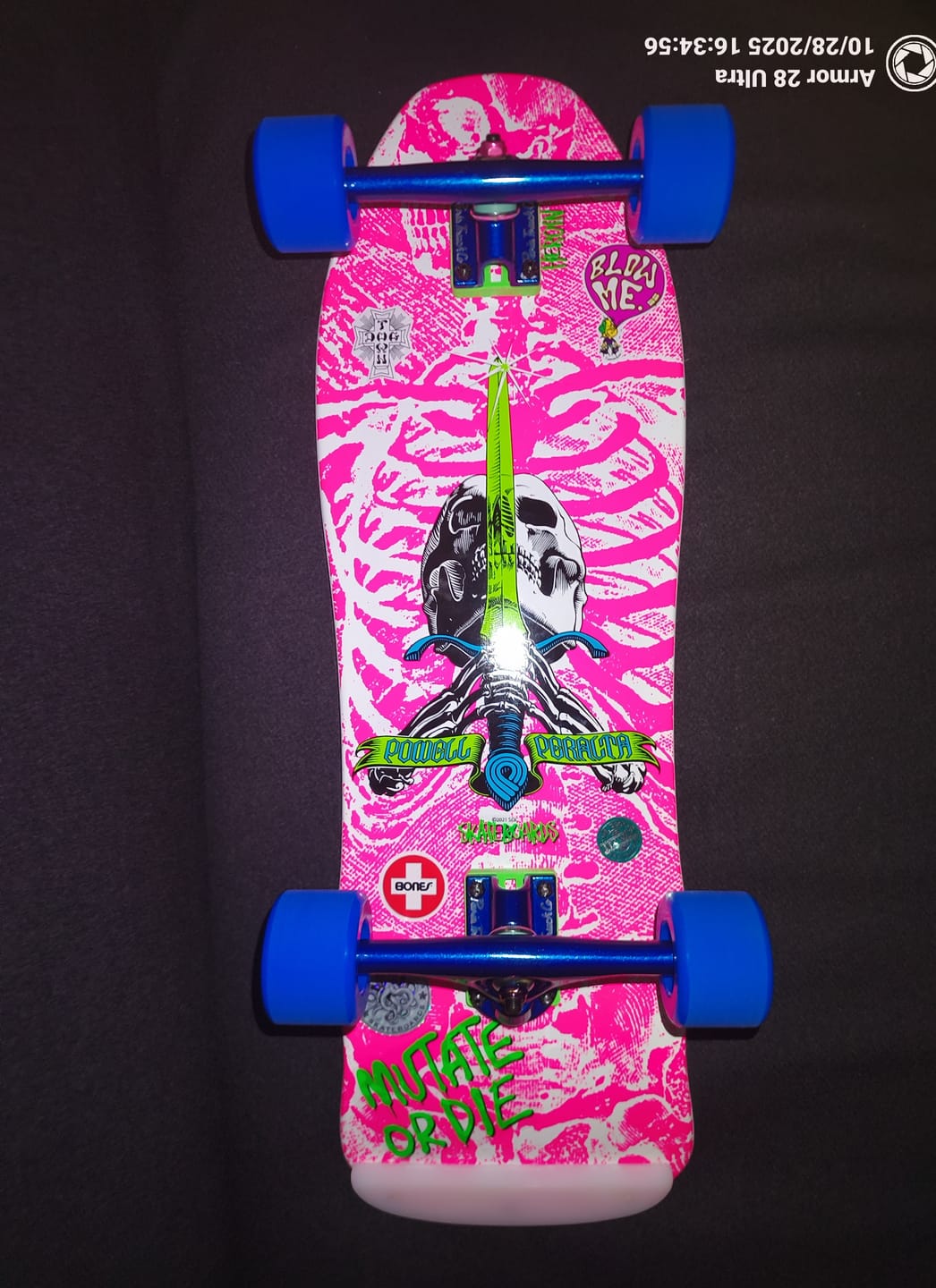 Customer photo review of Venom & Riptide Bushings Barrel & Cone Shape for Backfire Longboards