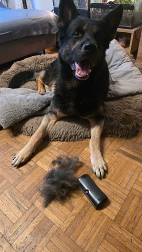 Customer photo review of Fellwunder Bürste  - Der Bestseller