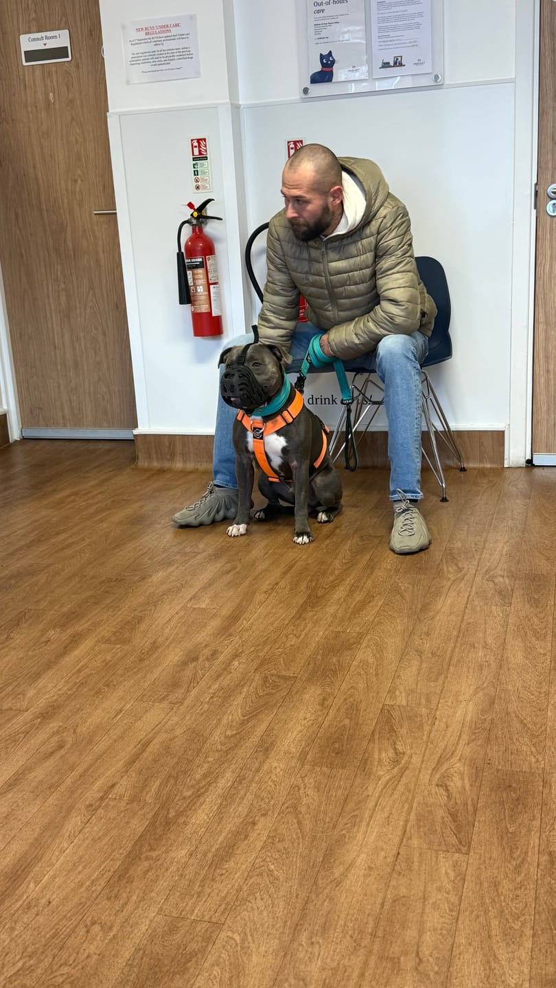 Customer photo review of Muzzle | Flexi & Legal Requirement - S-XL Breeds - Black