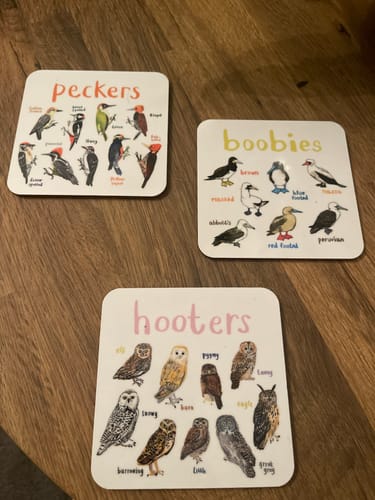 Customer photo review of Set of 6 Bird Pun Coasters