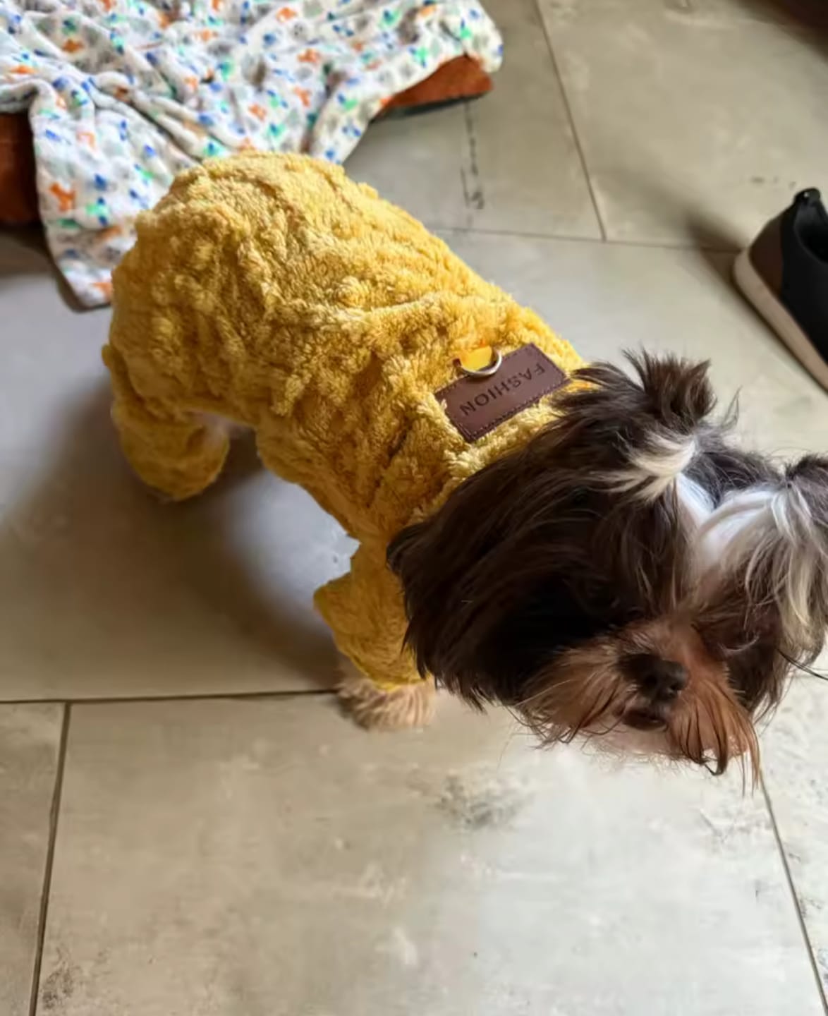 Customer photo review of Linda Cozy Sweater