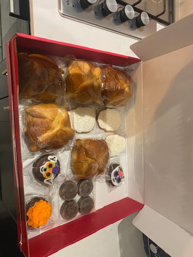 Customer photo review of Day of the Dead Painting Biscuit - Minimum 3 per order