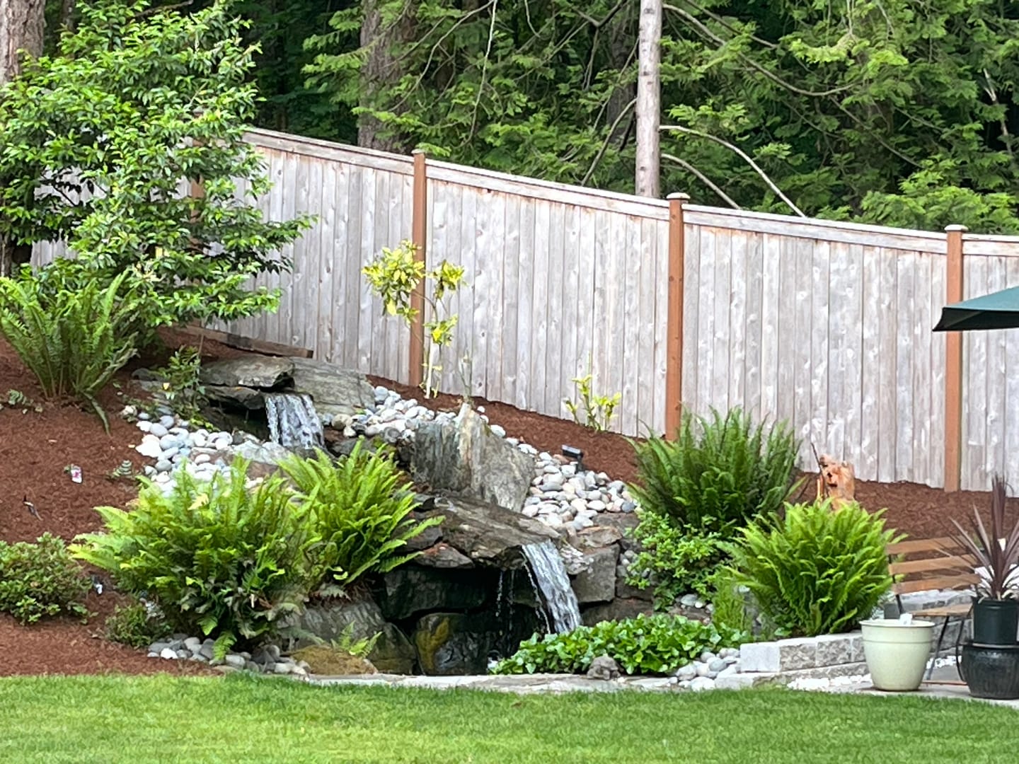 Customer photo review of Cold Water Beneficial Bacteria ⅓ oz. Blocks - Fall Winter Maintenance