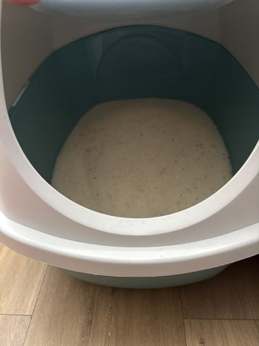 Customer photo review of 3 Month Supply - 1 Cat