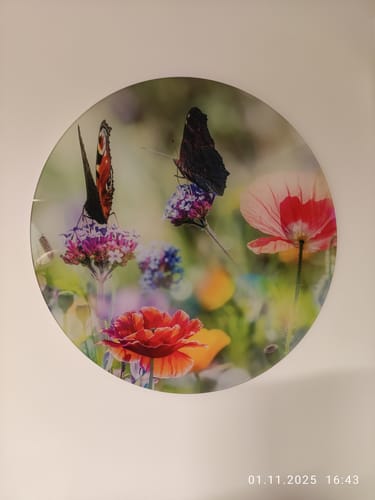 Customer photo review of Acrylglasbild | Blumenwiese mit Schmetterlingen | Rund