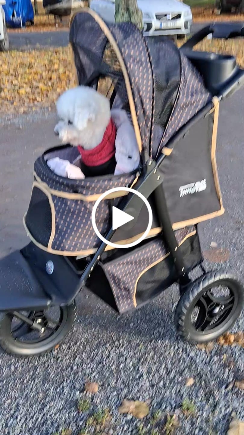 Customer video review of Adventure lemmikkirattaat