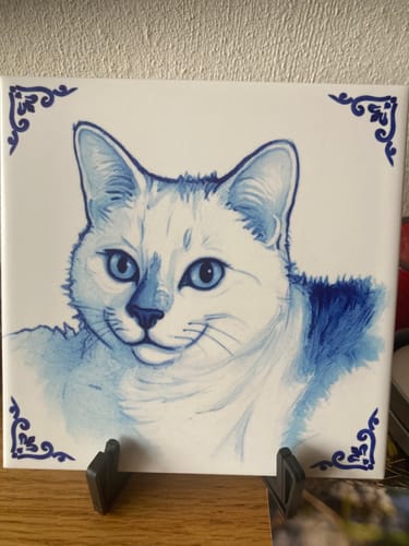 Customer photo review of Gepersonaliseerd Delfts Blauw Tegeltje – Upload Eigen Foto