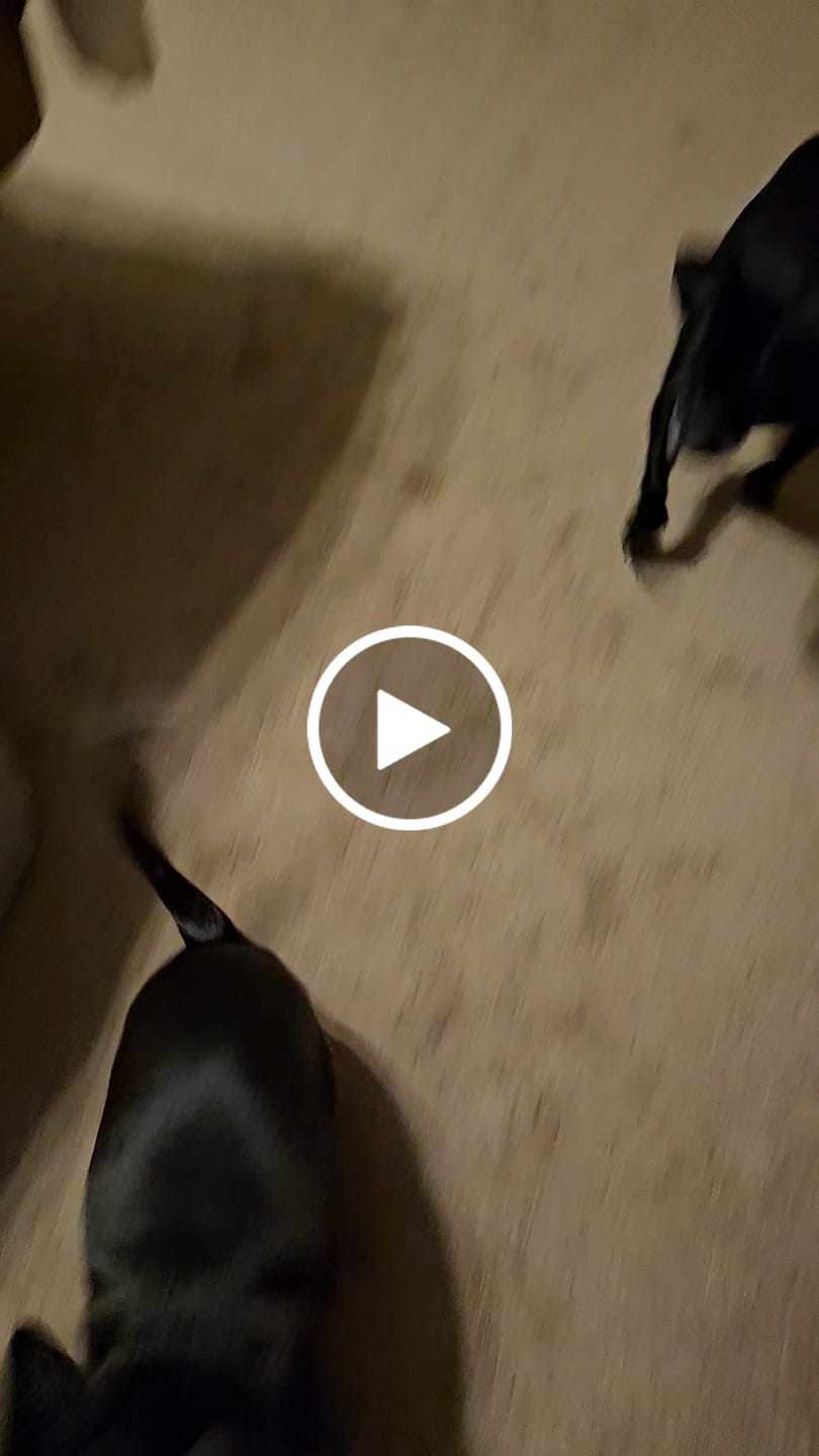 Customer video review of Pumpkin Chicken