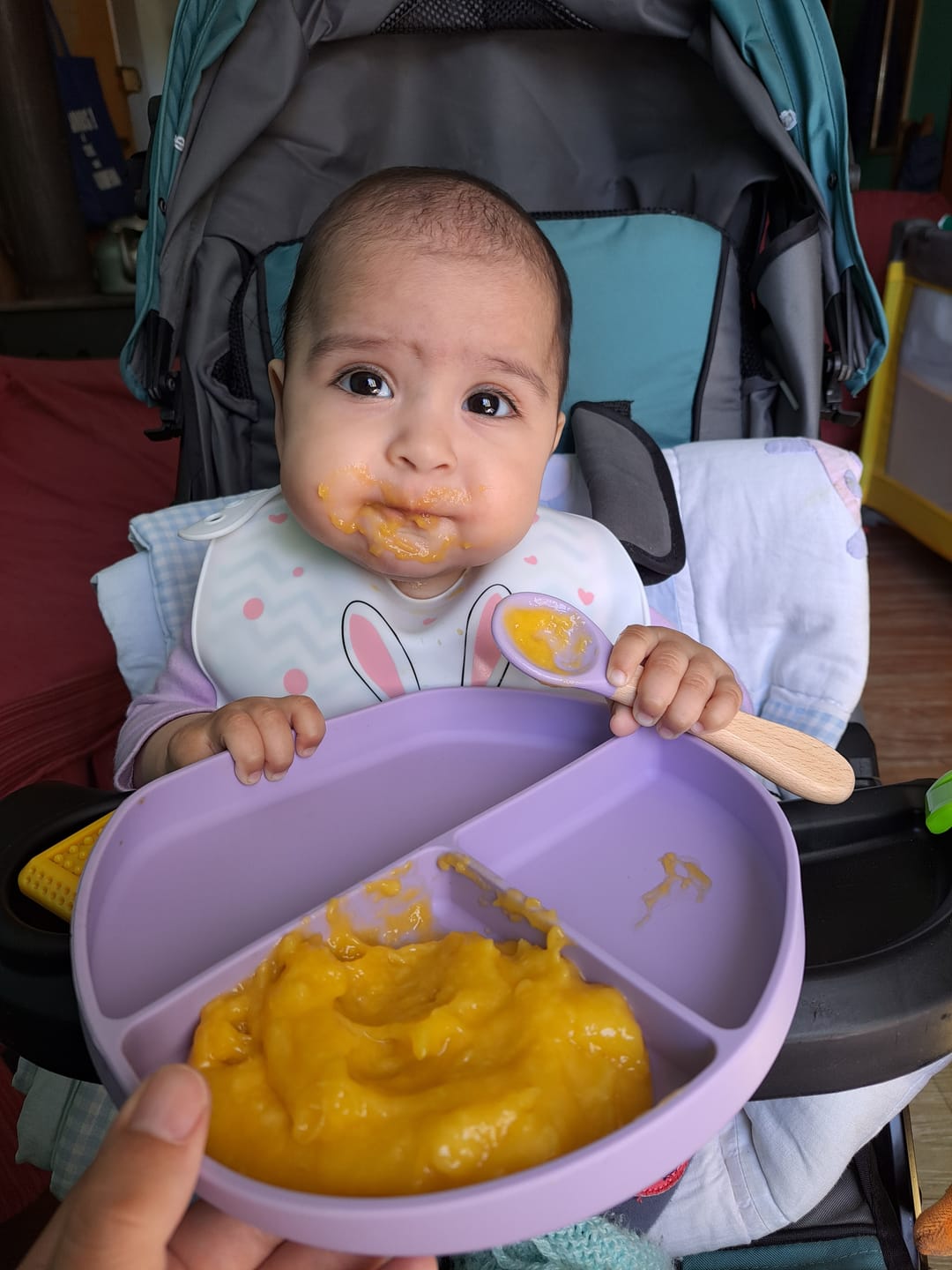 Customer photo review of Box Inicio Alimentación Complementaria Lila
