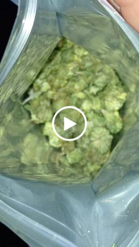 Customer video review of Exotic Micros