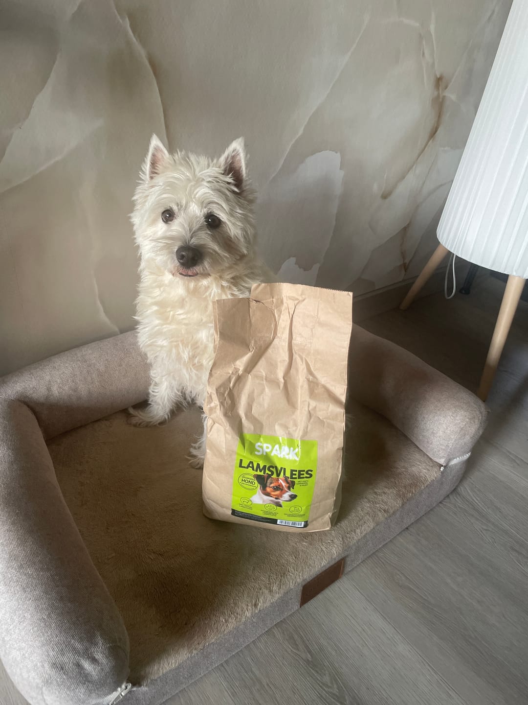Customer photo review of Volwassen - Klein - Lamsvlees met Zoete Aardappel & Munt