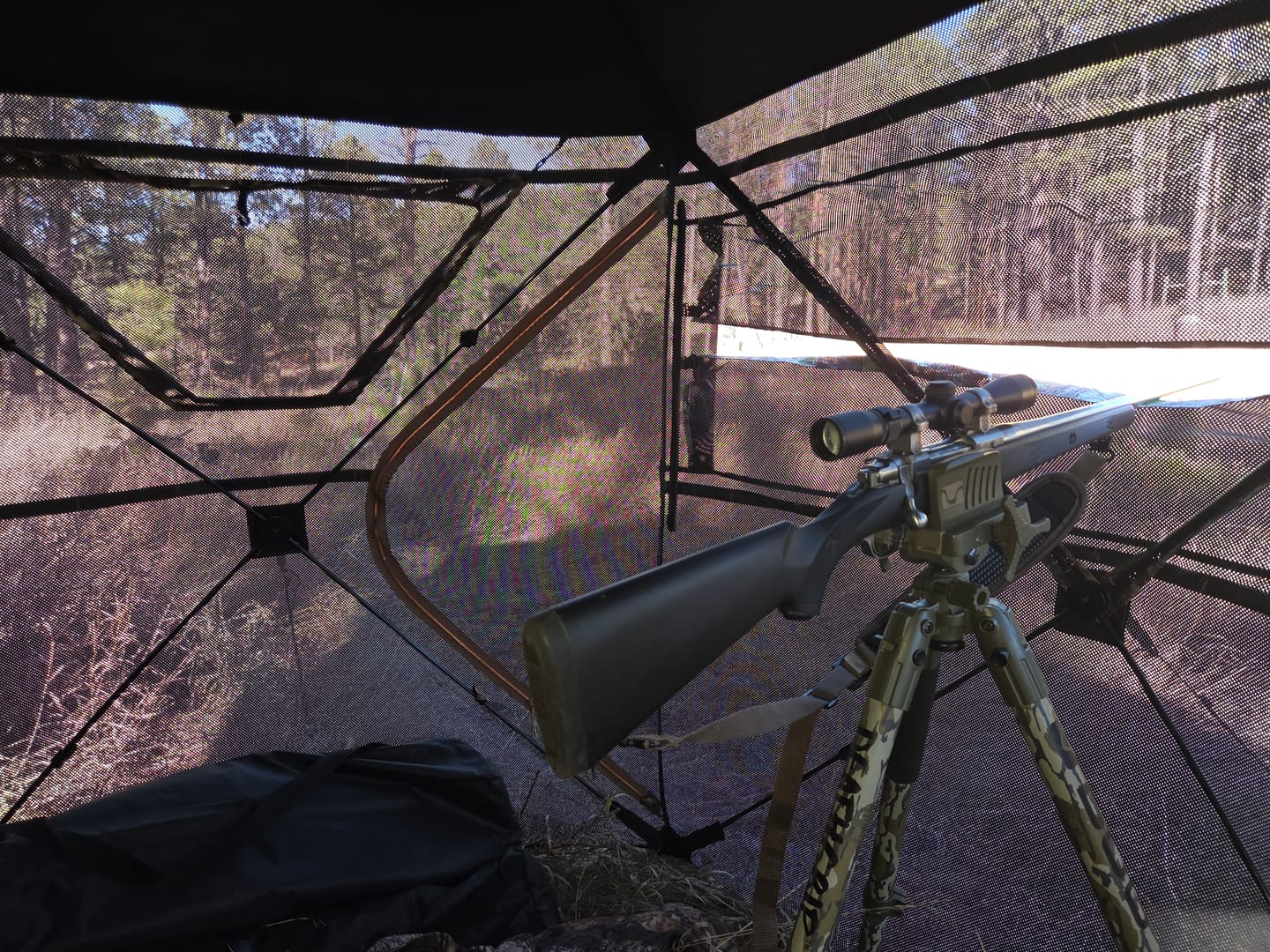 Customer photo review of Tidewe VisTrilogy See-Through Pop-Up Hunting Ground Blind for Deer, Turkey (4-6 Person)