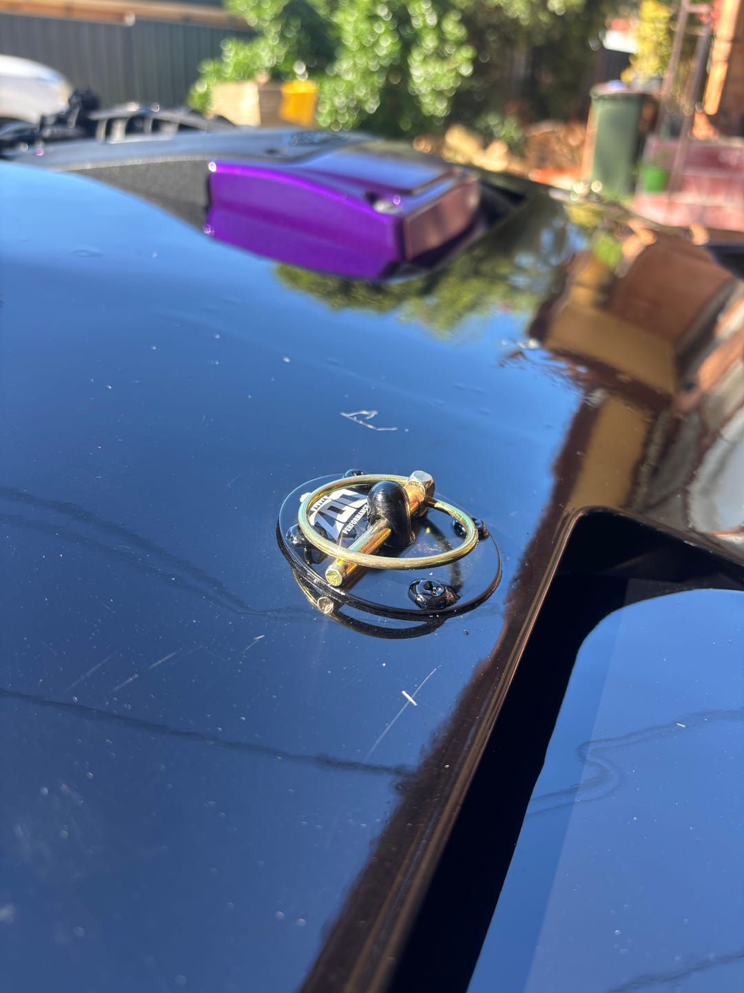 Customer photo review of ZOO BONNET PINS