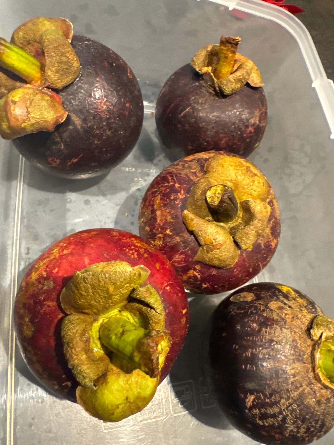 Customer photo review of Mangostan naturbelassen