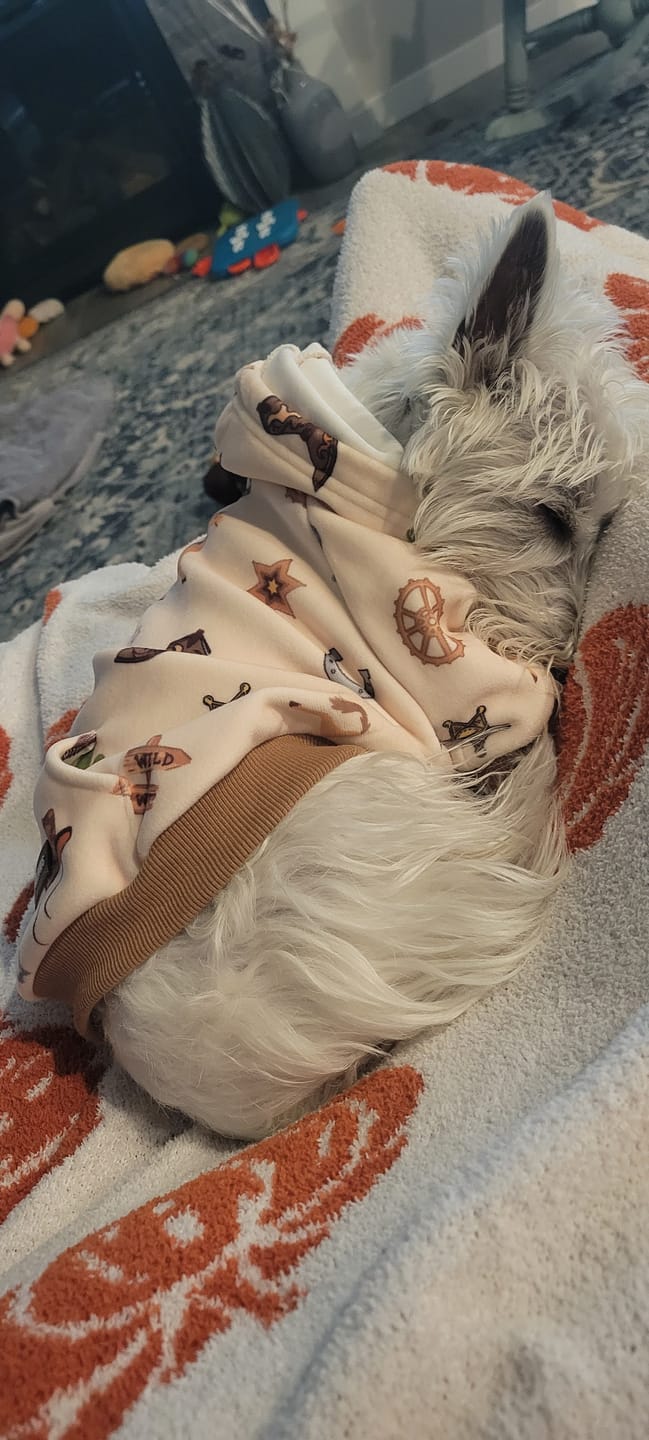 Customer photo review of Rodeo Dog Hoodie