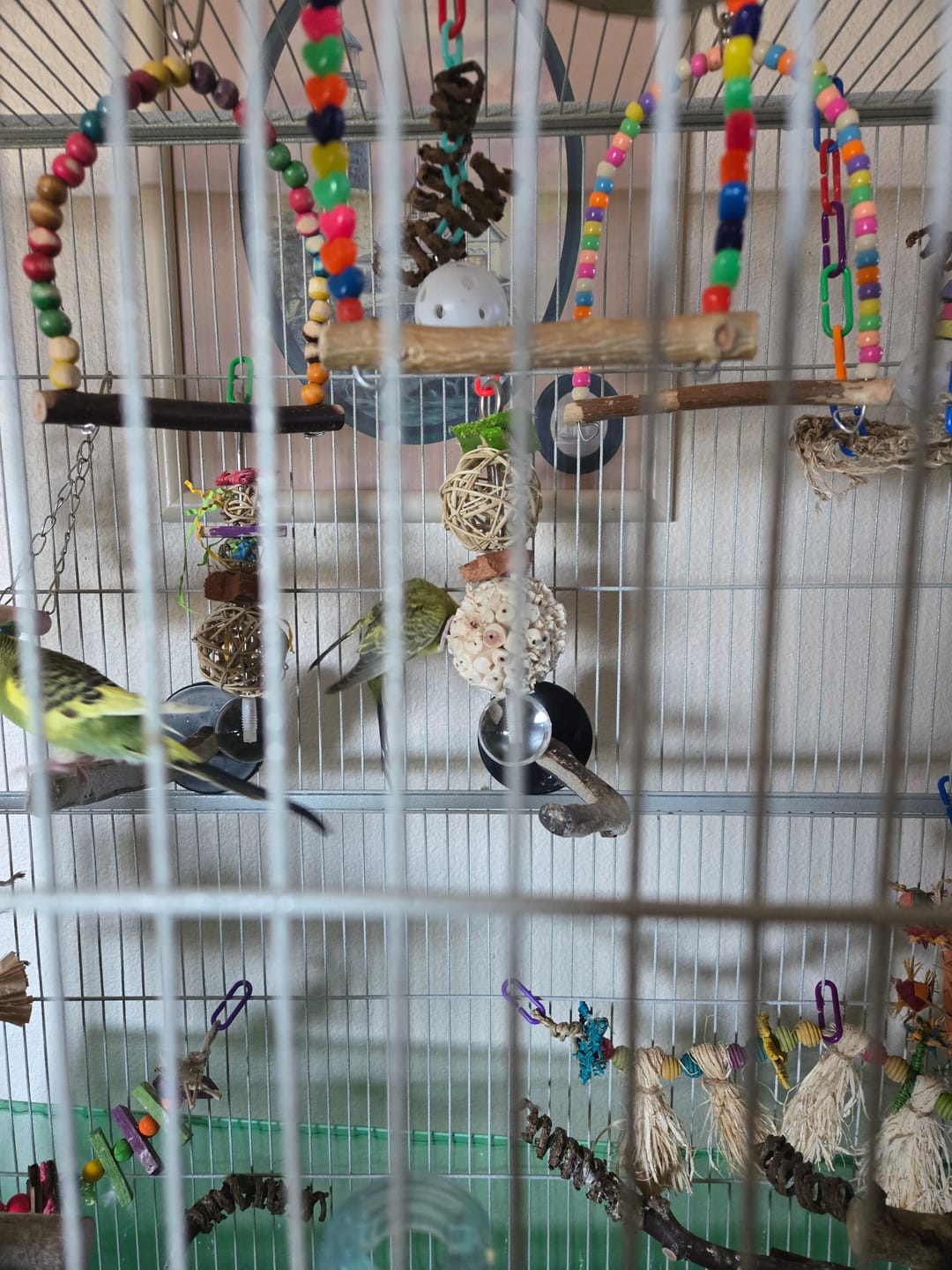 Customer photo review of 3.25" Sola Atta Ball