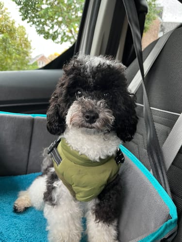 Customer photo review of Präbiotika