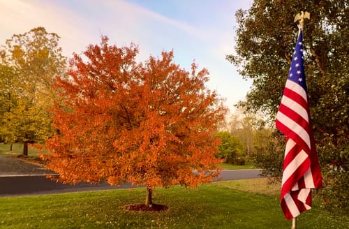 Customer photo review of Ultra Heavy Duty American Flag - 2-ply Polyester - Made In USA