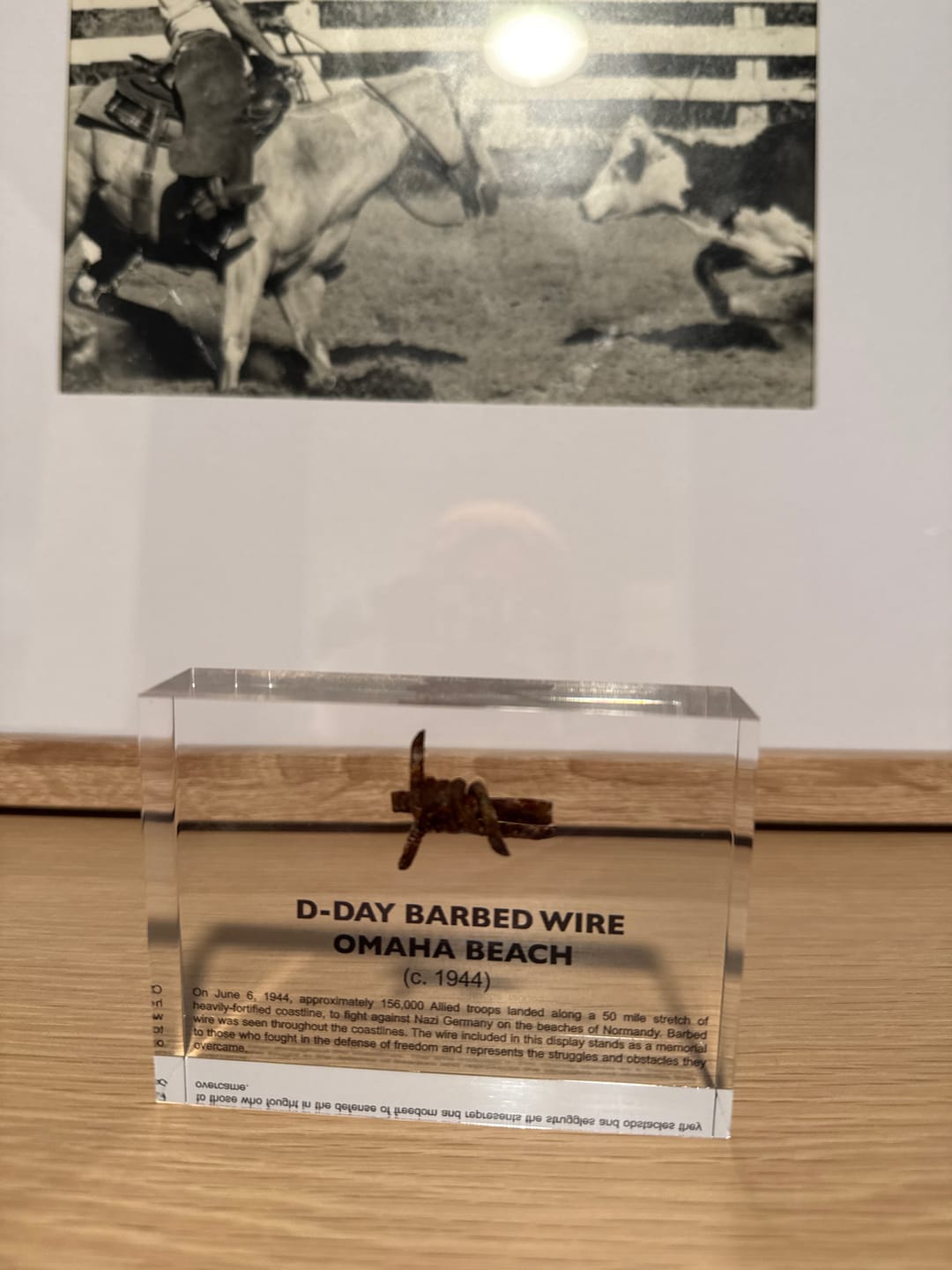 Customer photo review of D-Day Barbed Wire Artifact Display