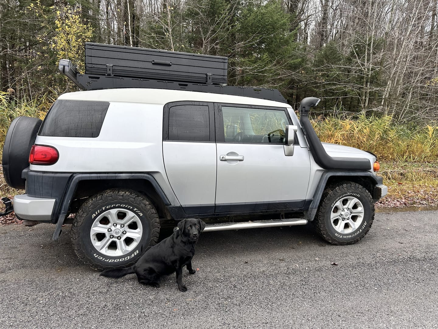 Customer photo review of Rack de Toit FJ Cruiser 2006–2022