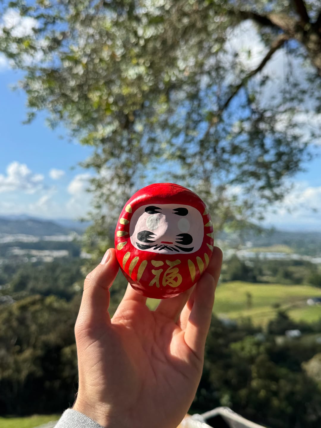 Customer photo review of Red Japanese Daruma Doll