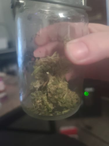 Customer photo review of Cheap THCA Flower Ounce