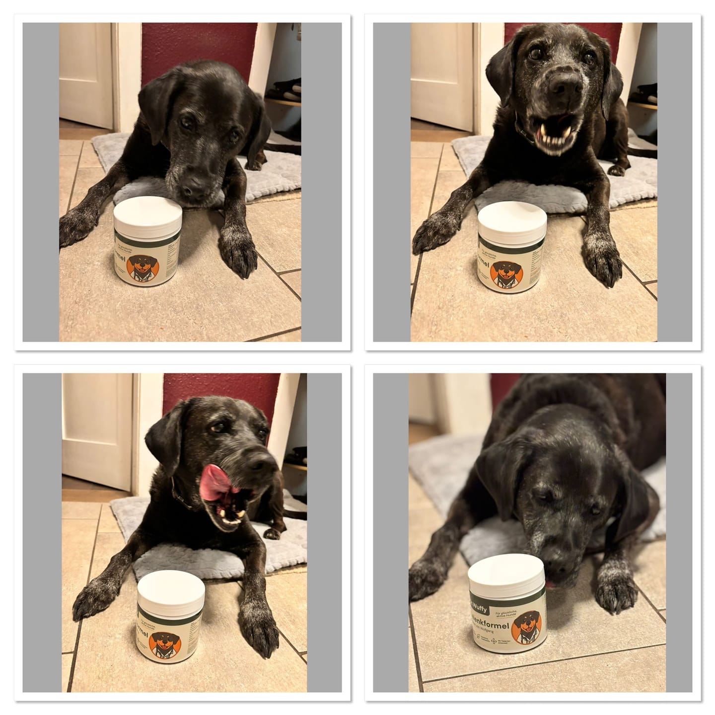 Customer photo review of Dr. Wuffys Gelenkformel – getestet von Wolfgang