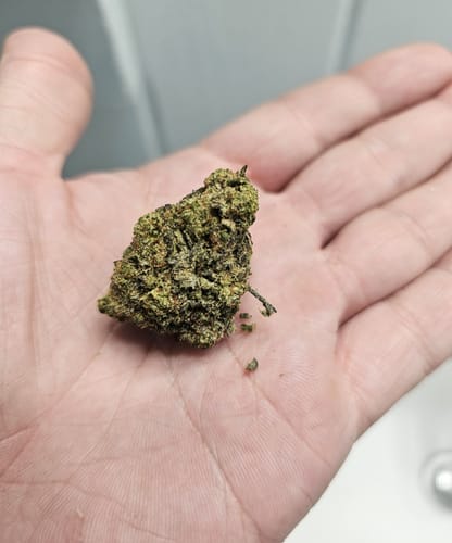 Customer photo review of Gold Spectrum THCA Flower (Connoisseur) - Thai