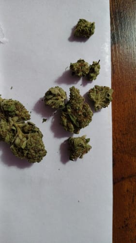 Customer photo review of Chocolate Diesel - 28 Grams - Hybrid