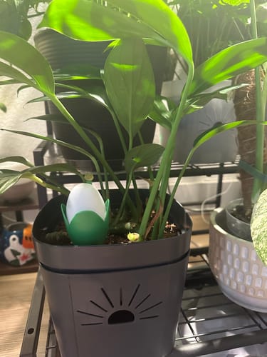 undefined review of Flora Pod™ - Earth's Smartest Plant Monitor image 1 out of 1