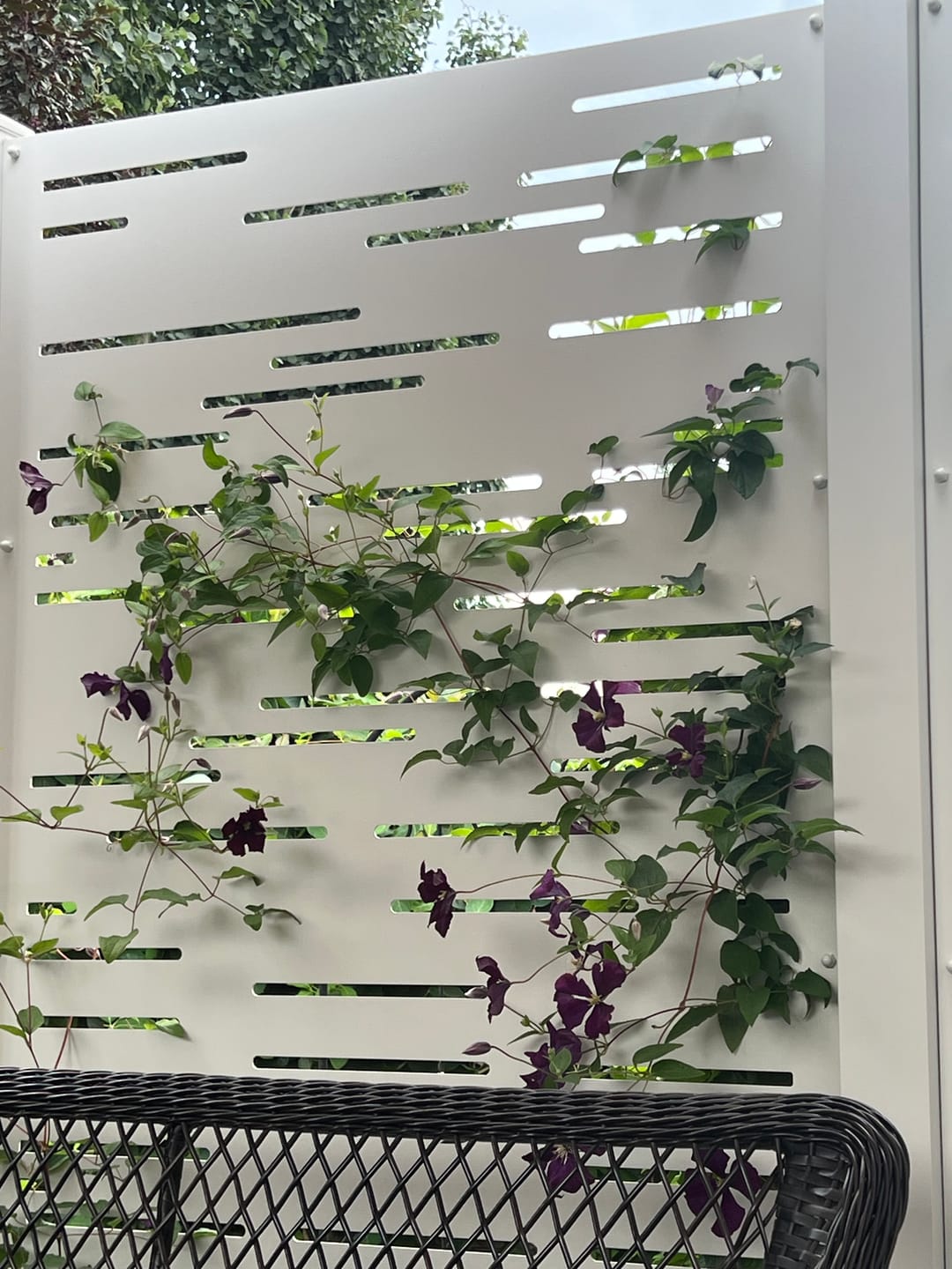 Customer photo review of Privacy Screen (Dash)
