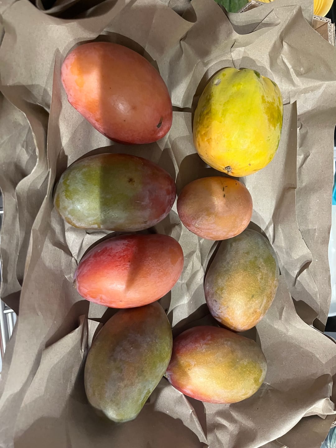 Customer photo review of Mini-Mango Osteen Bio Sonderpreis % 3kg