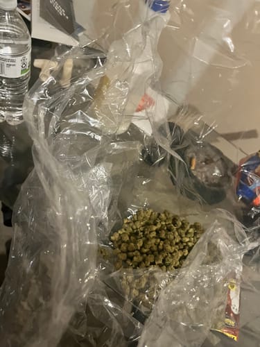 Customer photo review of Shipping Protection by Route