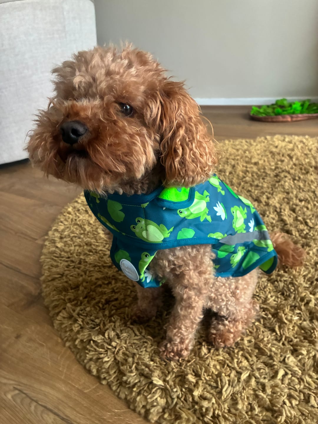 Customer photo review of Rain Jacket - Frogging Fabulous