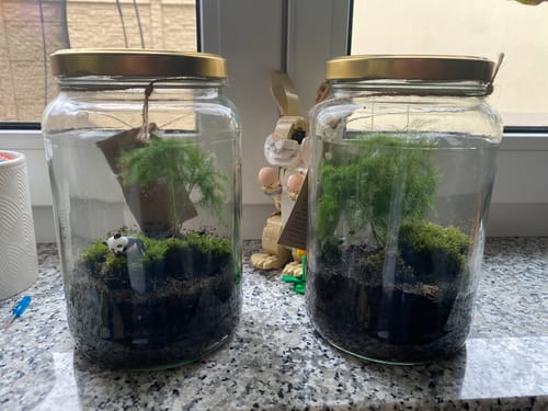 Customer photo review of Lieferung zum Wunschtermin