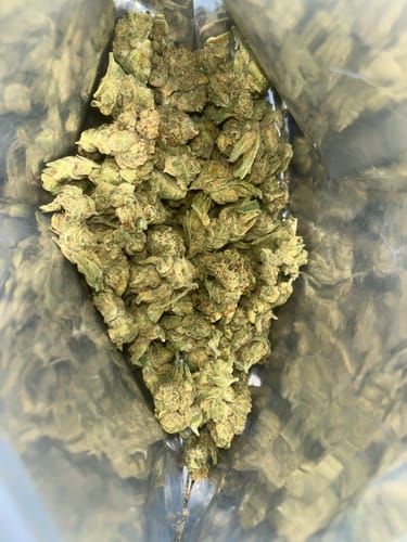 Customer photo review of Fresh Lows Lounge