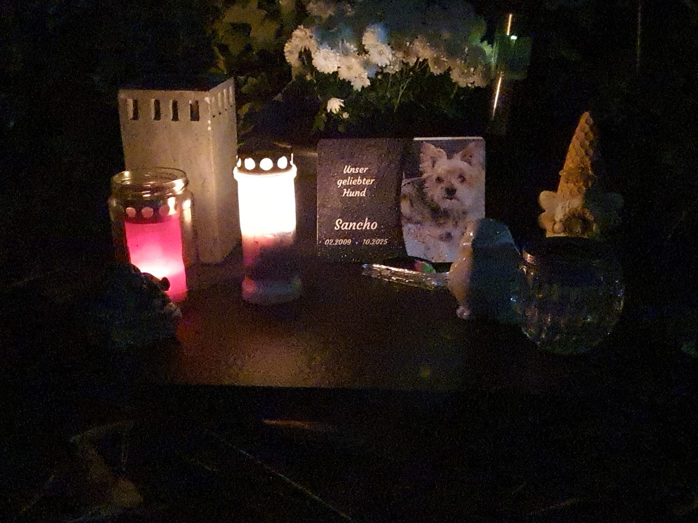 Customer photo review of Hunde Gedenktafel mit Foto & Spruch (UV- & Wetterfest)