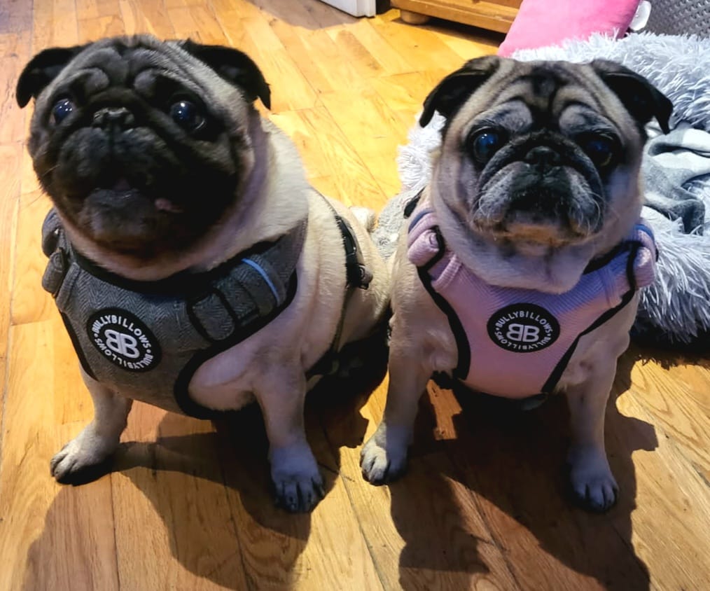 Customer photo review of Free Personalisation