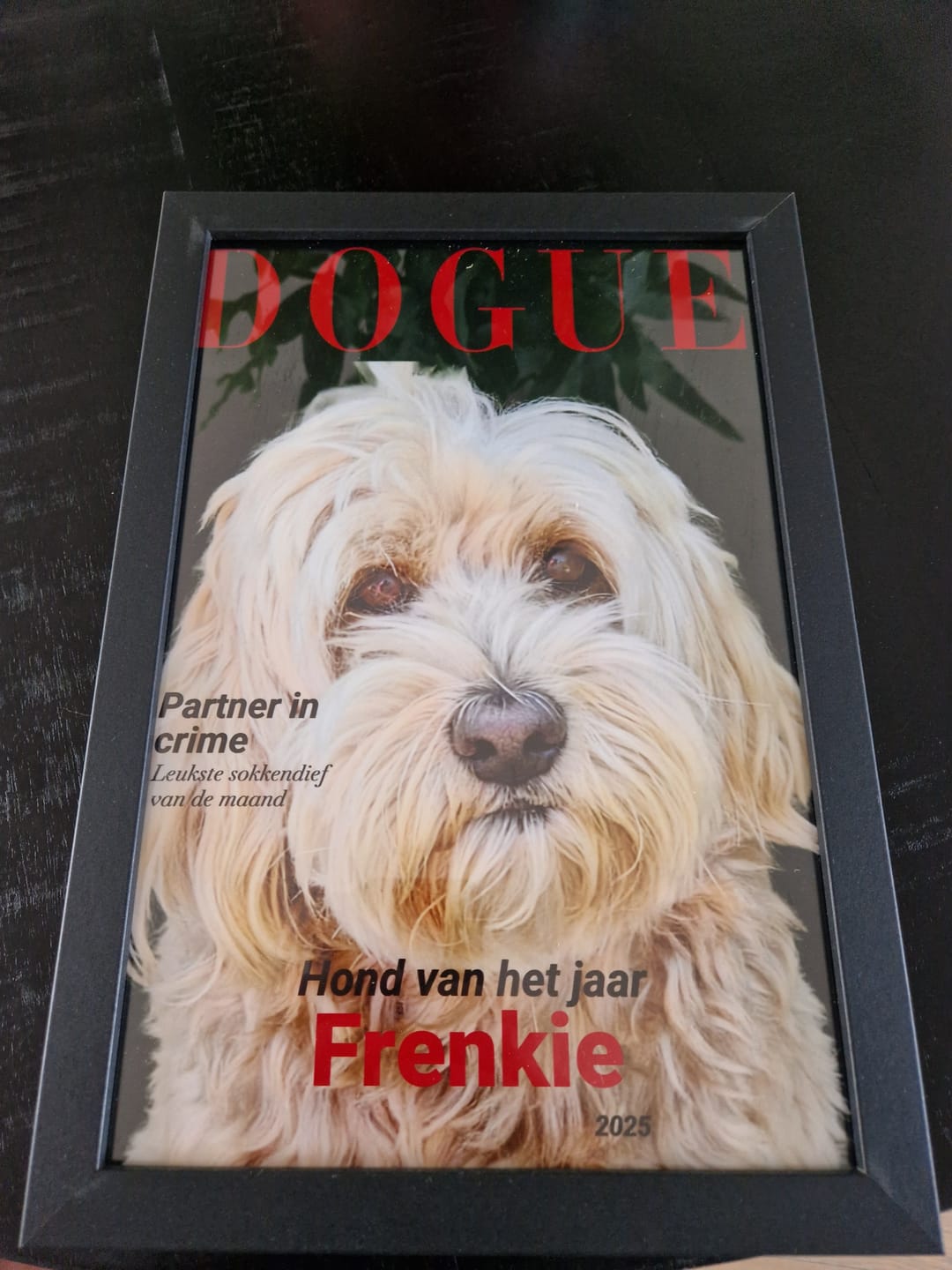 Customer photo review of Dogue - Gepersonaliseerde Poster